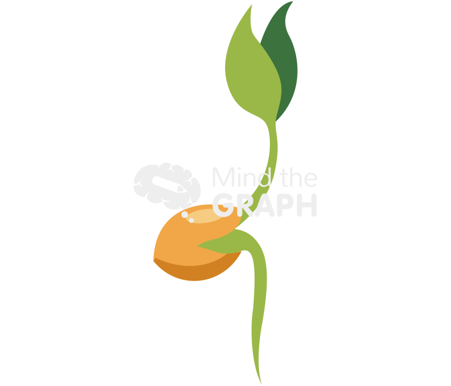 Angiosperm seeding Icons, Symbols, Pictures, and Images