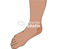 Ankle abduction brown Icons, Symbols, Pictures, and Images