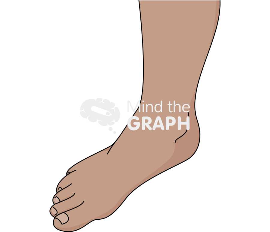 Ankle abduction olive Icons, Symbols, Pictures, and Images