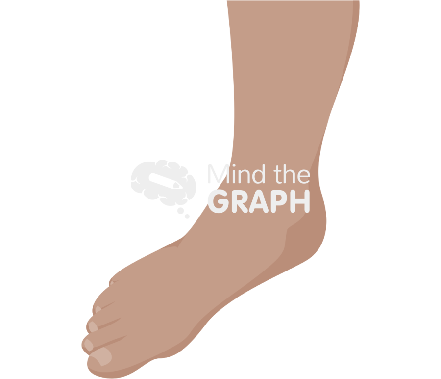 Ankle abduction olive Icons, Symbols, Pictures, and Images