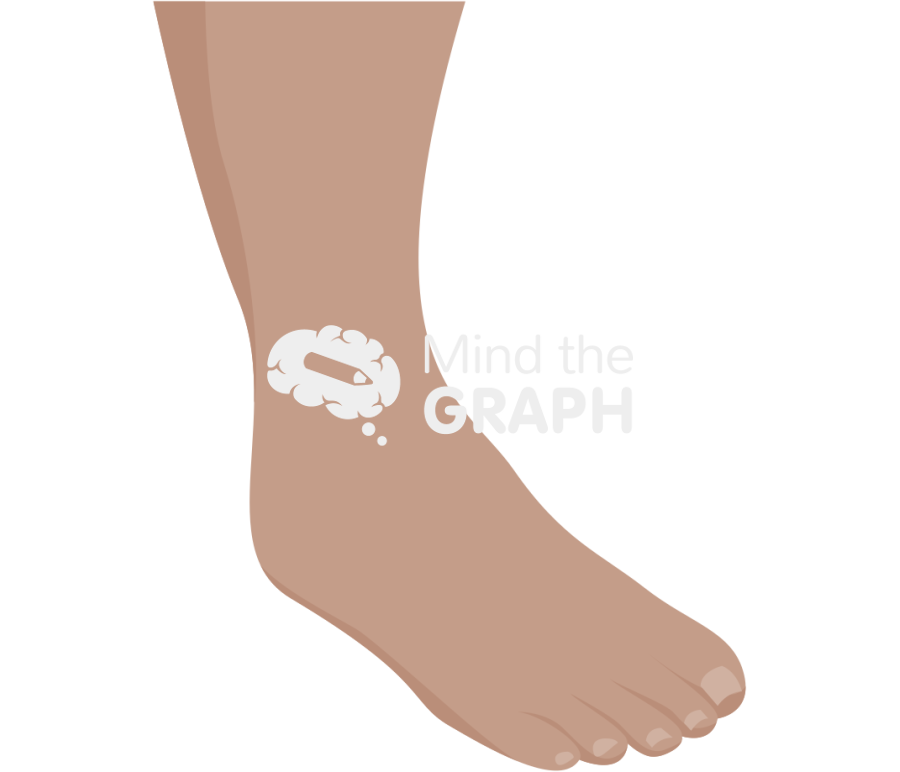 Ankle adduction olive Icons, Symbols, Pictures, and Images