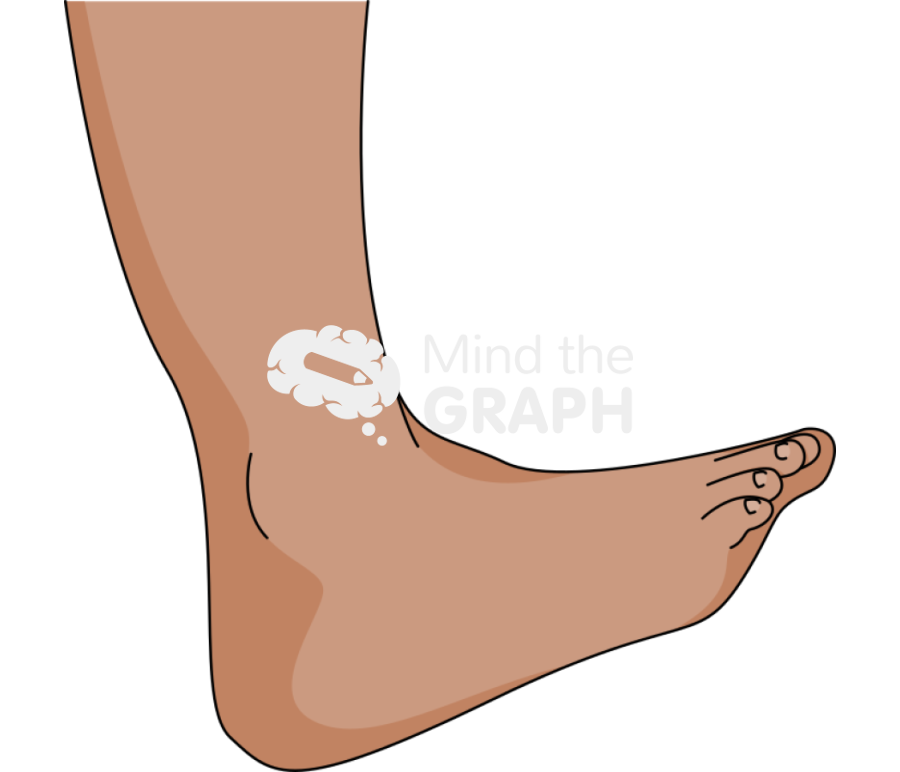 Ankle dorsiflexion brown Icons, Symbols, Pictures, and Images