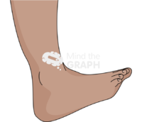 Ankle dorsiflexion olive Icons, Symbols, Pictures, and Images
