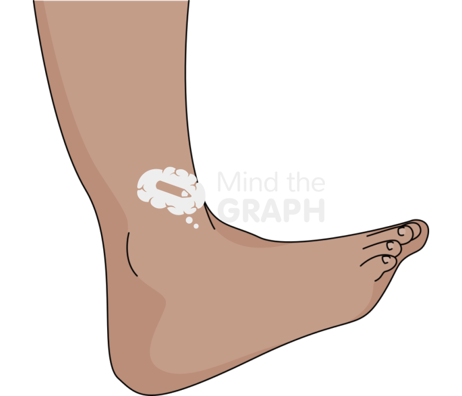 Ankle dorsiflexion olive Icons, Symbols, Pictures, and Images