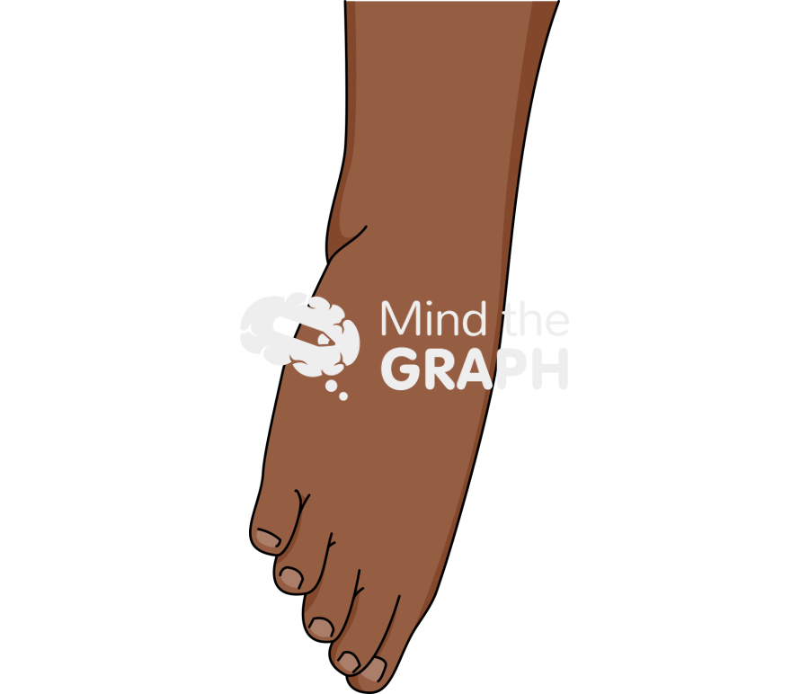 Ankle eversion black Icons, Symbols, Pictures, and Images