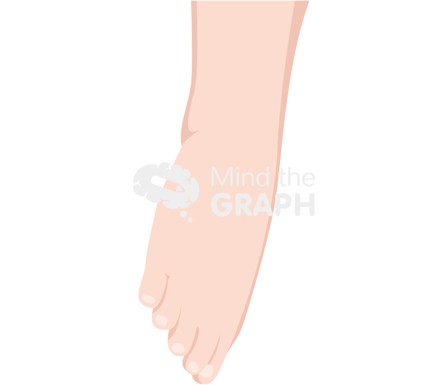 Ankle eversion fair Icons, Symbols, Pictures, and Images