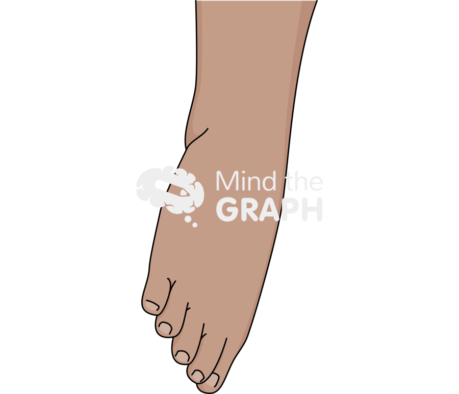 Ankle eversion olive Icons, Symbols, Pictures, and Images