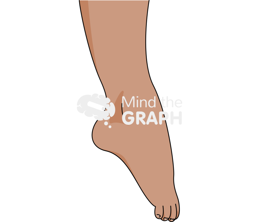 Ankle plantarflexion brown Icons, Symbols, Pictures, and Images