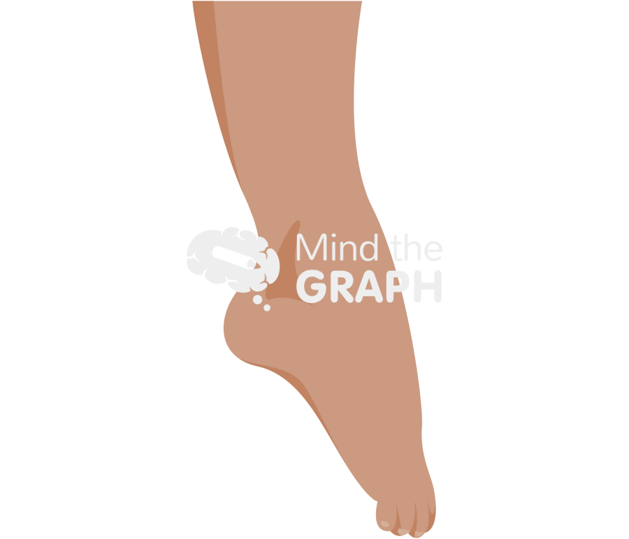 Ankle plantarflexion brown Icons, Symbols, Pictures, and Images