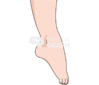 Ankle plantarflexion fair Icons, Symbols, Pictures, and Images