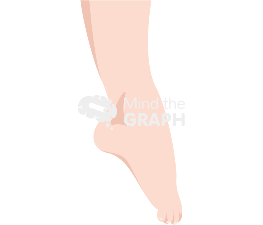Ankle plantarflexion fair Icons, Symbols, Pictures, and Images