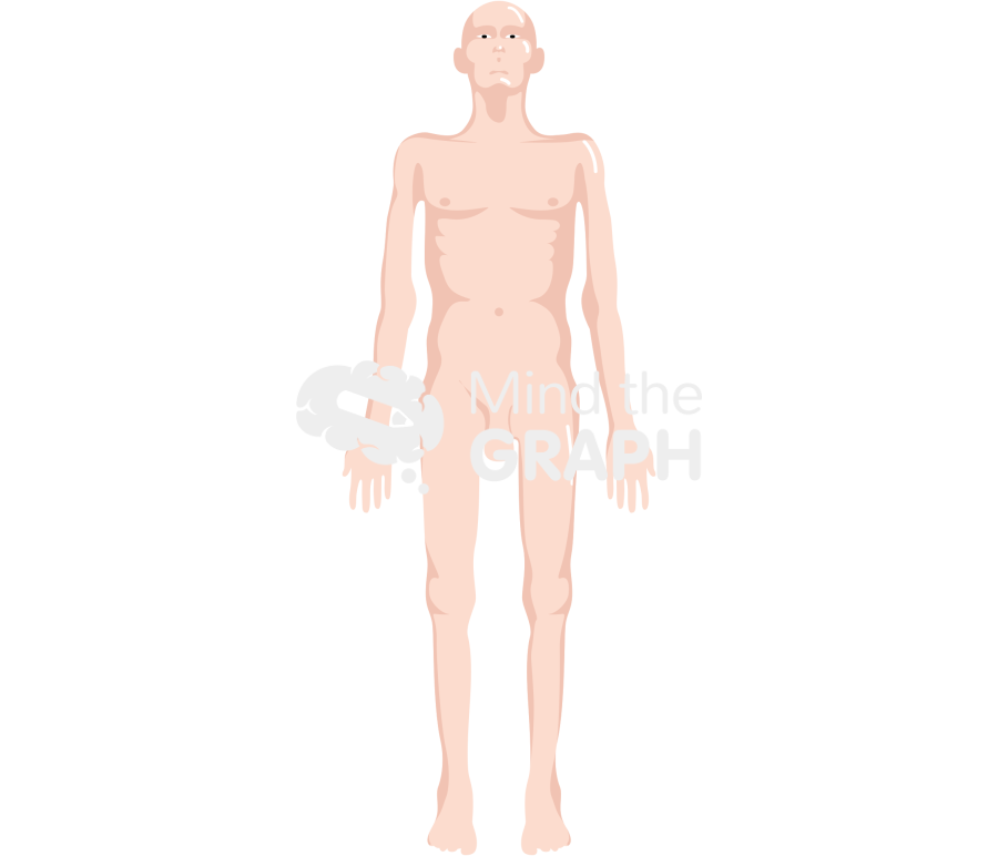 Anorexia cachexia muscle loss male front asiatic Icons, Symbols, Pictures, and Images