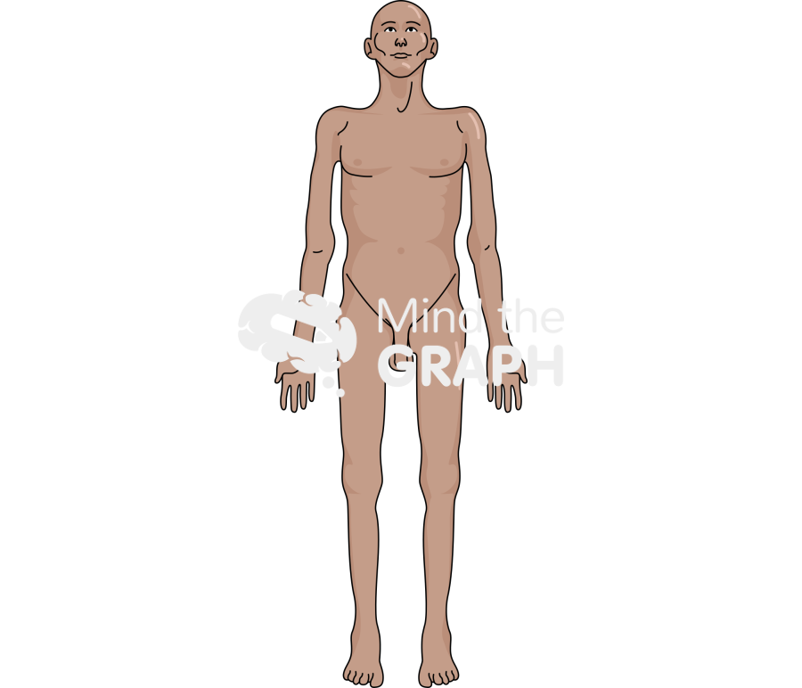 Anorexia cachexia muscle loss male front tanned Icons, Symbols, Pictures, and Images