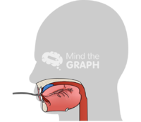 Anterior iopi device tongue shape lateral - Edit and Customize Icons of Anterior iopi device tongue shape lateral Anterior iopi device tongue shape lateral Icons, Symbols, Pictures, and Images