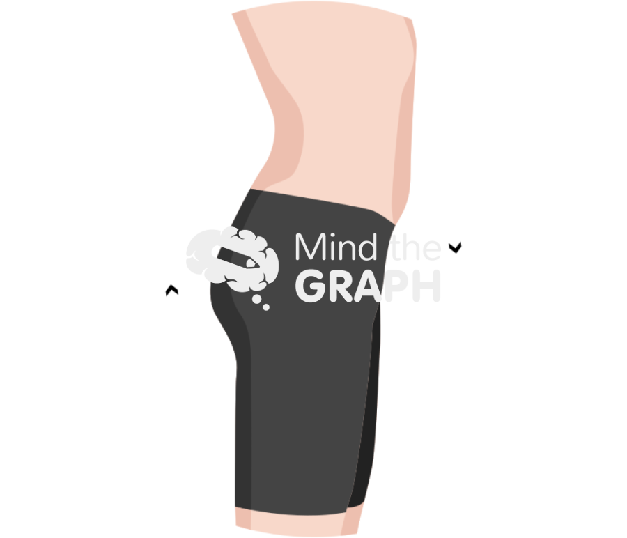 Anterior pelvic tilt body zoom Icons, Symbols, Pictures, and Images