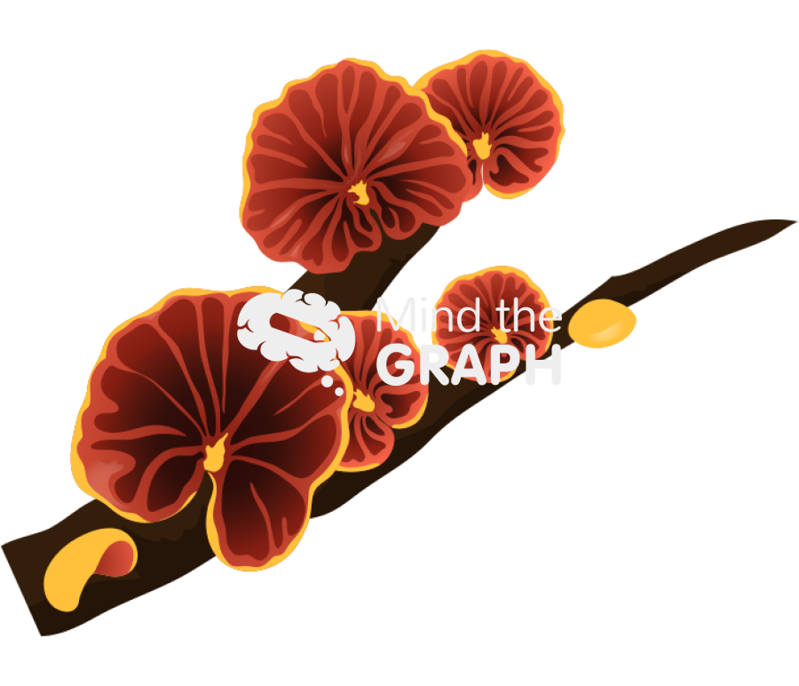 Anthracophyllum discolor fungus Icons, Symbols, Pictures, and Images