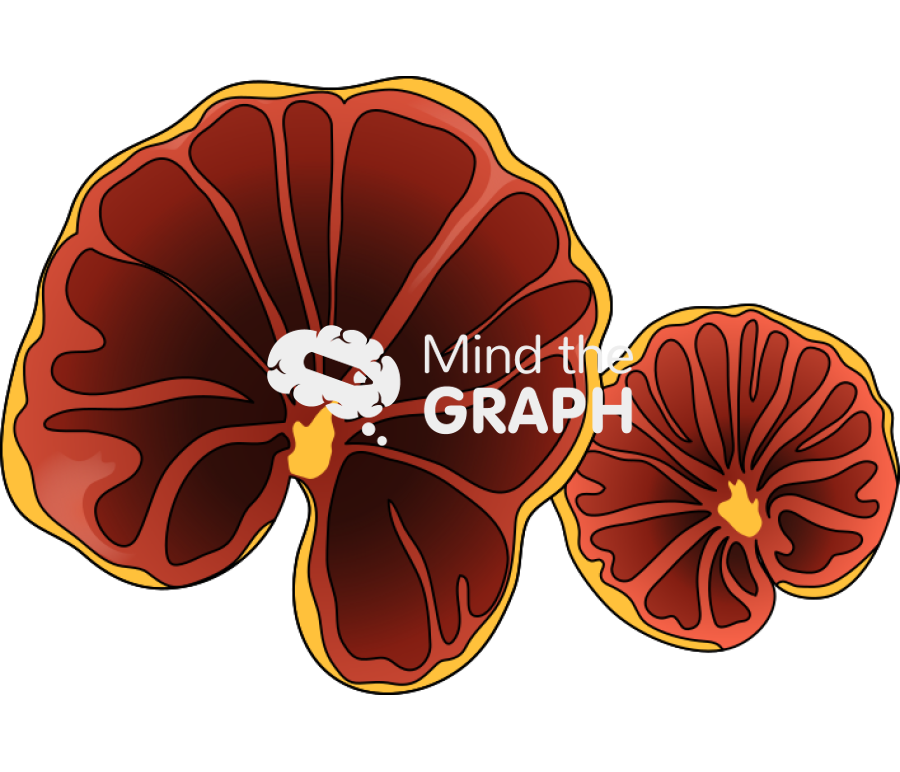 Anthracophyllum discolor fungus 2 Icons, Symbols, Pictures, and Images