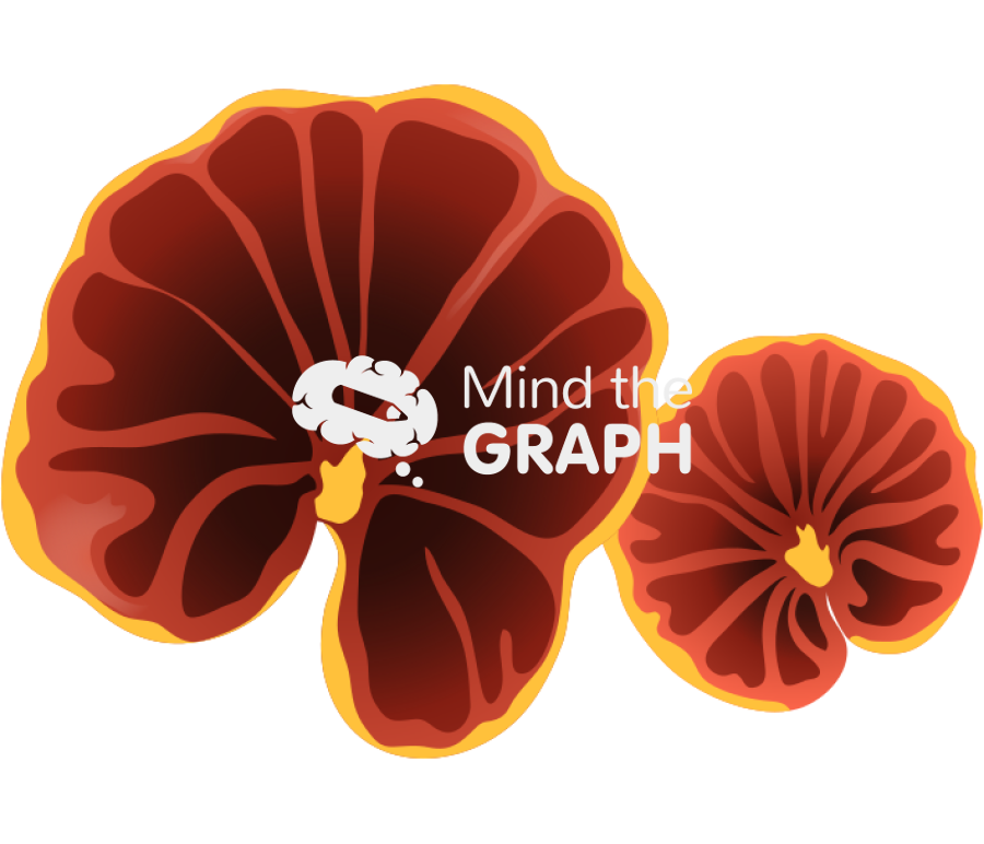 Anthracophyllum discolor fungus 2 Icons, Symbols, Pictures, and Images