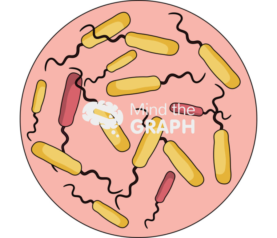 Antibiotic resistant bacteria zoom 1 version 2 Icons, Symbols, Pictures, and Images