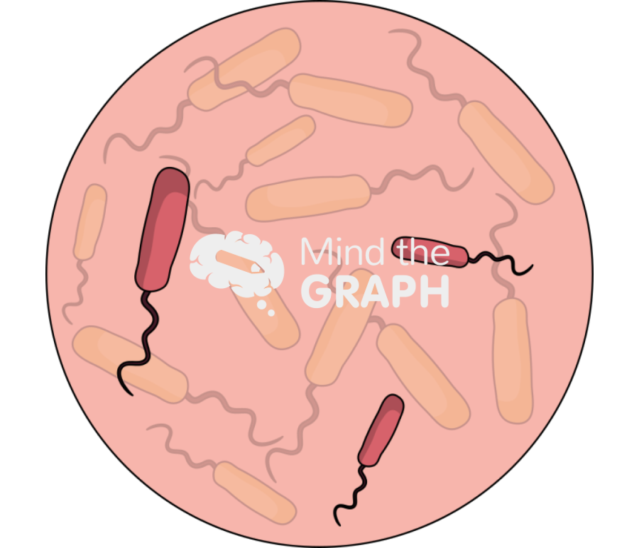 Antibiotic resistant bacteria zoom 2 version 2 Icons, Symbols, Pictures, and Images