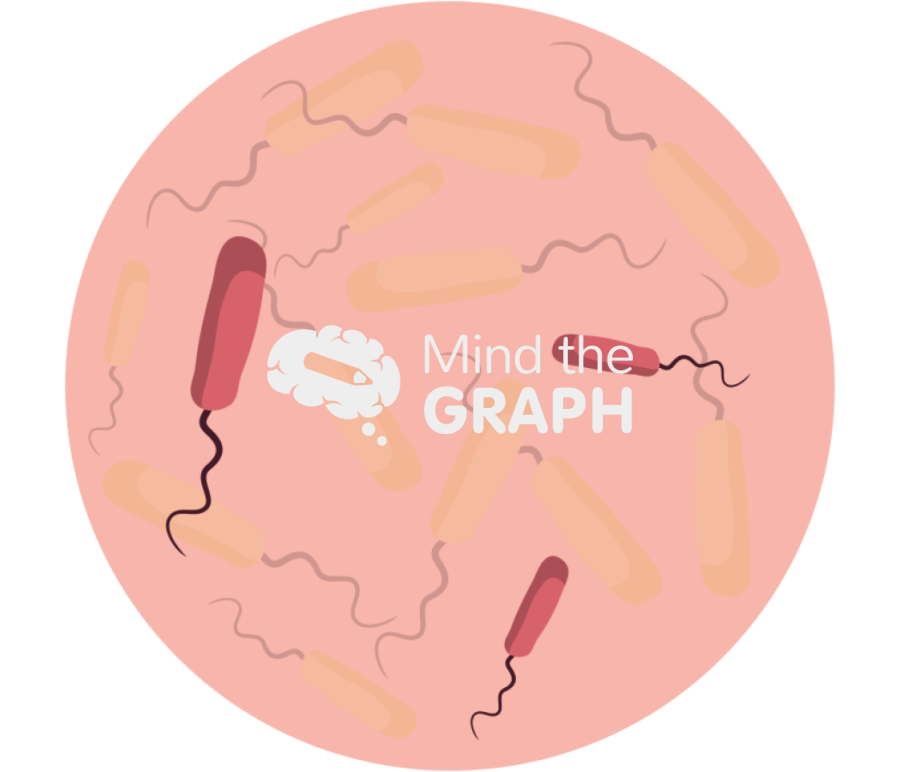 Antibiotic resistant bacteria zoom 2 version 2 Icons, Symbols, Pictures, and Images