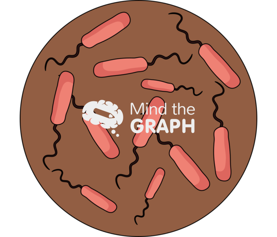 Antibiotic resistant bacteria zoom 3 Icons, Symbols, Pictures, and Images