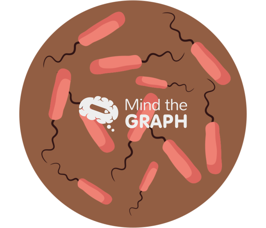 Antibiotic resistant bacteria zoom 3 Icons, Symbols, Pictures, and Images