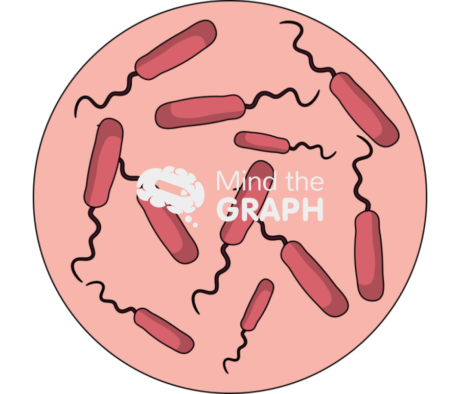 Antibiotic resistant bacteria zoom 3 version 2 Icons, Symbols, Pictures, and Images