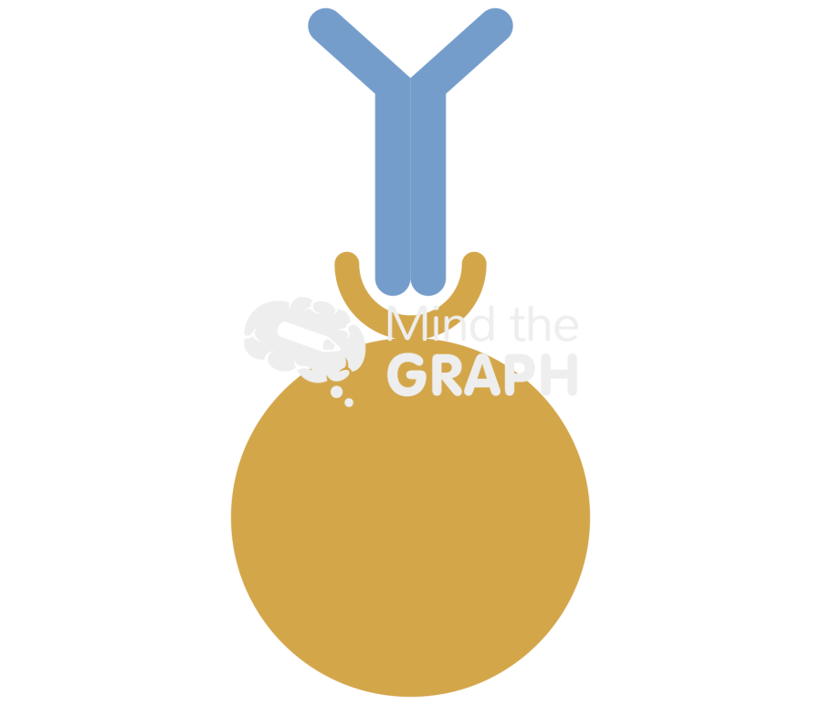 Antibody dynabead simple Icons, Symbols, Pictures, and Images