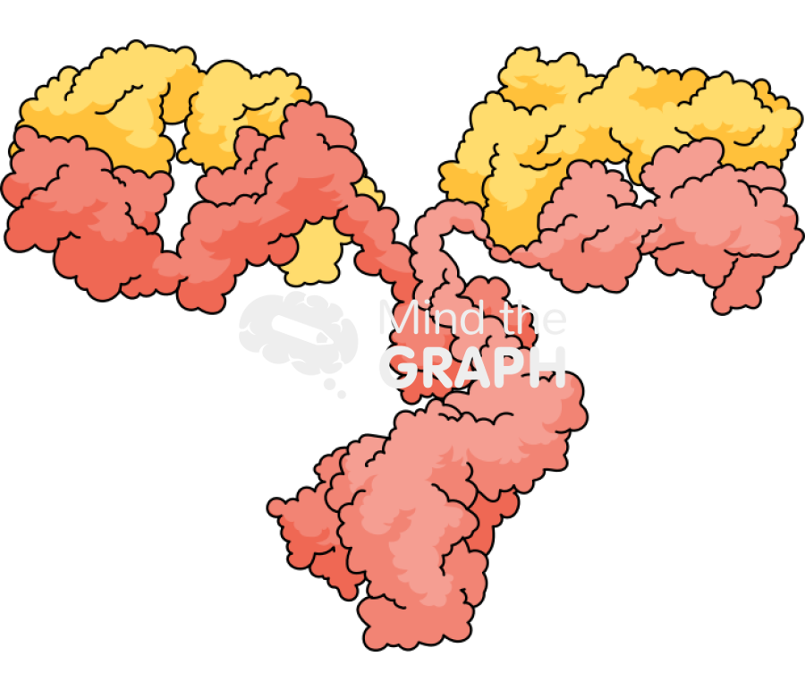 Antibody molecule realistic Icons, Symbols, Pictures, and Images