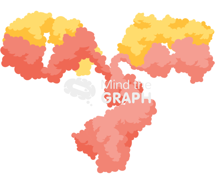 Antibody molecule realistic Icons, Symbols, Pictures, and Images