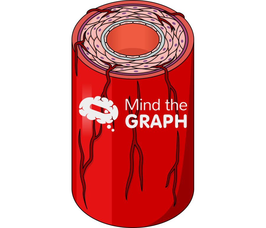 Aorta vasa vasorum Icons, Symbols, Pictures, and Images