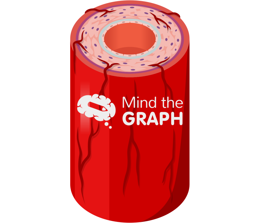 Aorta vasa vasorum Icons, Symbols, Pictures, and Images