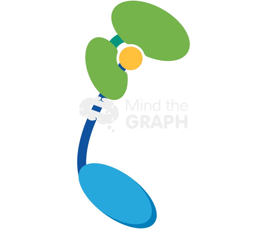 Apaf apoptosis protease activating factor 1 Icons, Symbols, Pictures, and Images