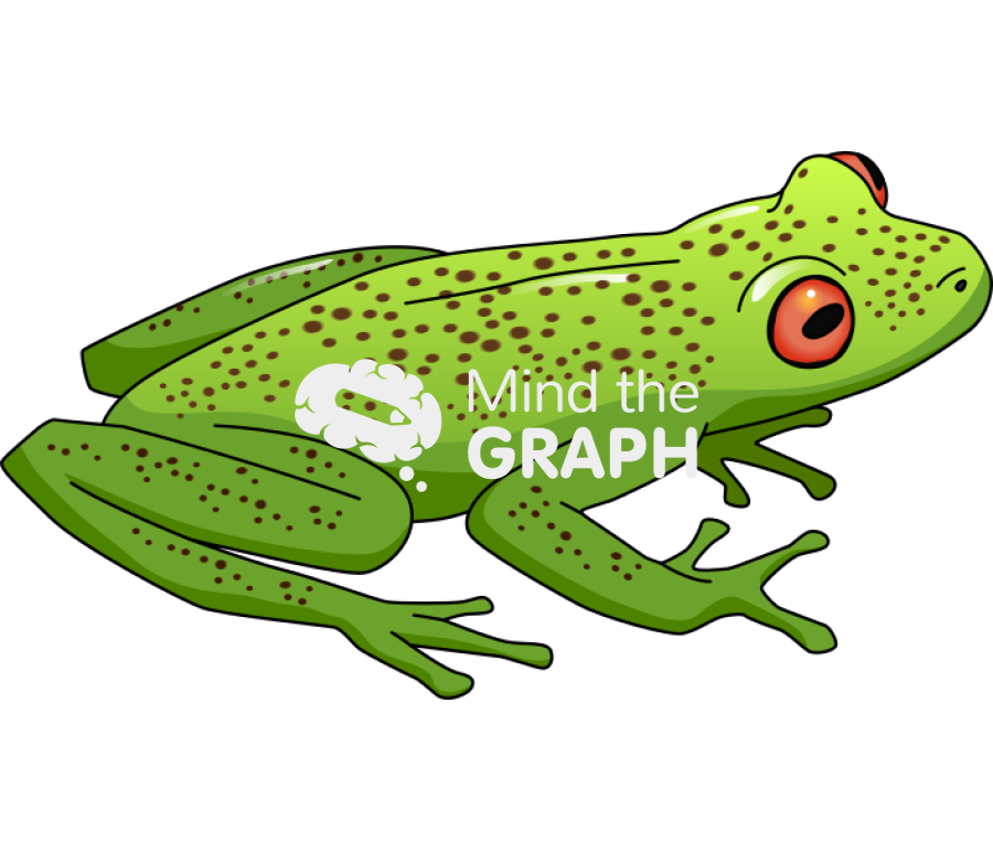 Aplastodiscus ehrhardti