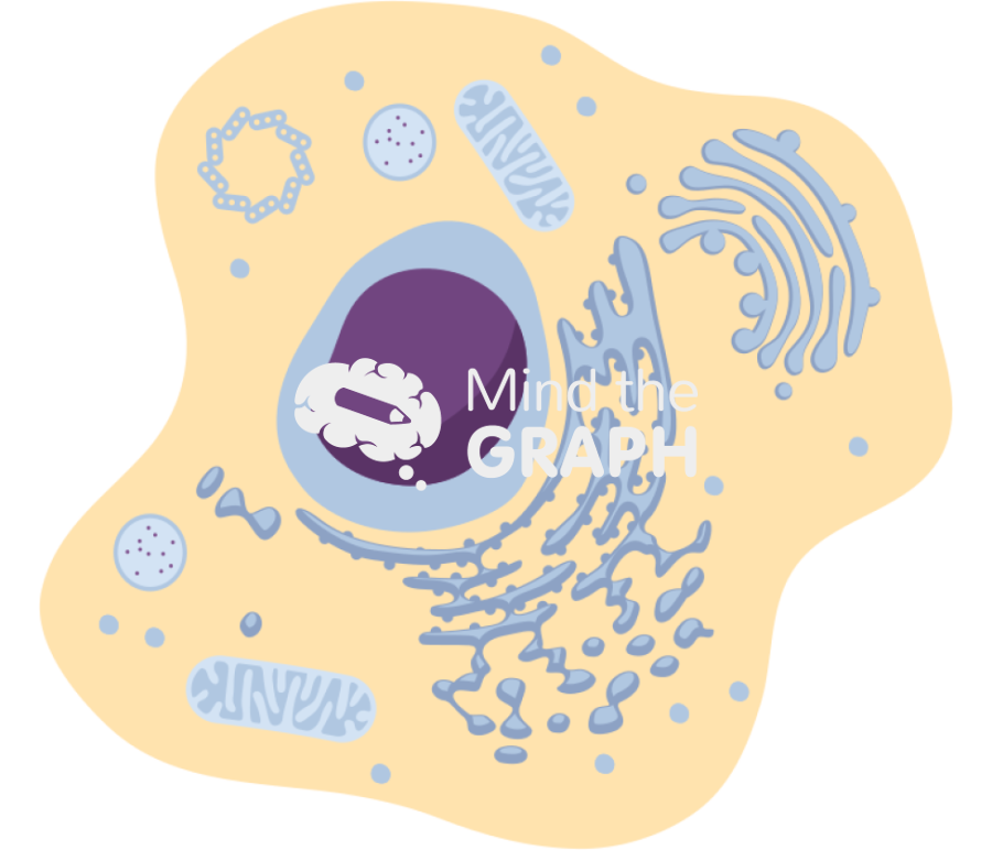 Apoptosis cell 1 Icons, Symbols, Pictures, and Images