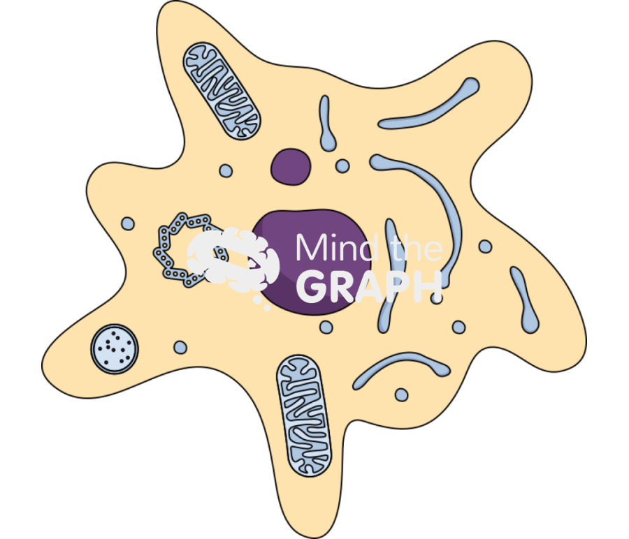 Apoptosis cell 2 Icons, Symbols, Pictures, and Images