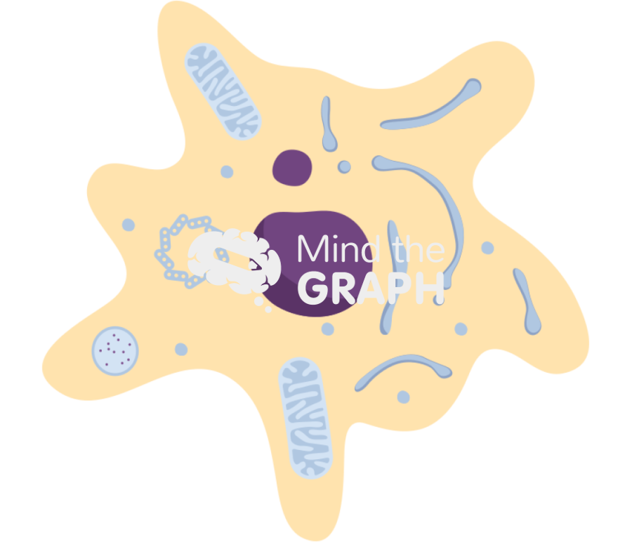 Apoptosis cell 2 Icons, Symbols, Pictures, and Images