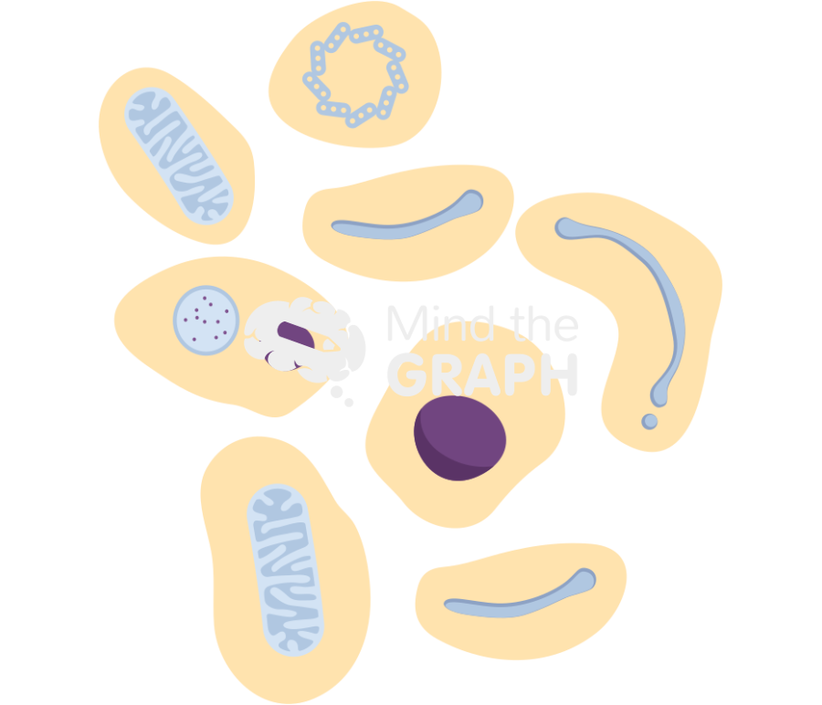 Apoptosis cell 3 Icons, Symbols, Pictures, and Images