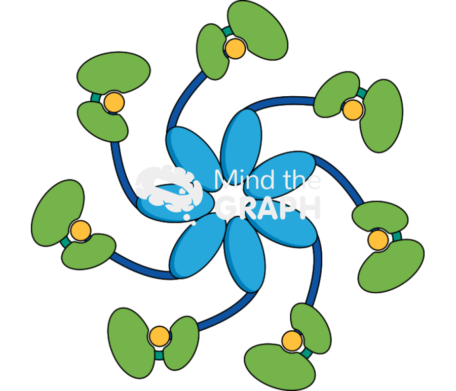 Apoptosome Icons, Symbols, Pictures, and Images