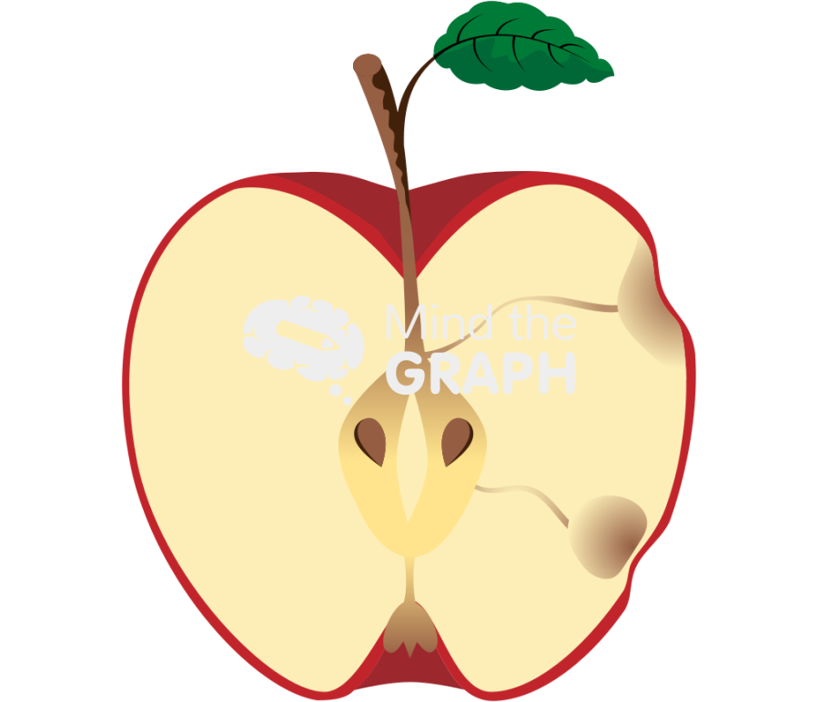 Apple open red with cork spot physiological disorder cspd Icons, Symbols, Pictures, and Images