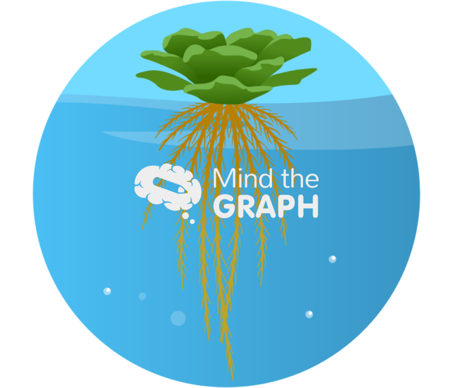 Aquatic root water zoom Icons, Symbols, Pictures, and Images