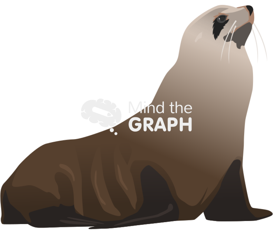 Arctocephalus gazella antarctic fur seal pinniped Icons, Symbols, Pictures, and Images