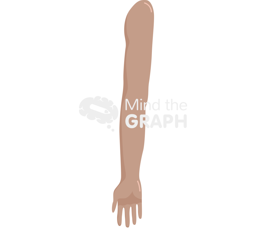 Arm anatomic front tanned Icons, Symbols, Pictures, and Images