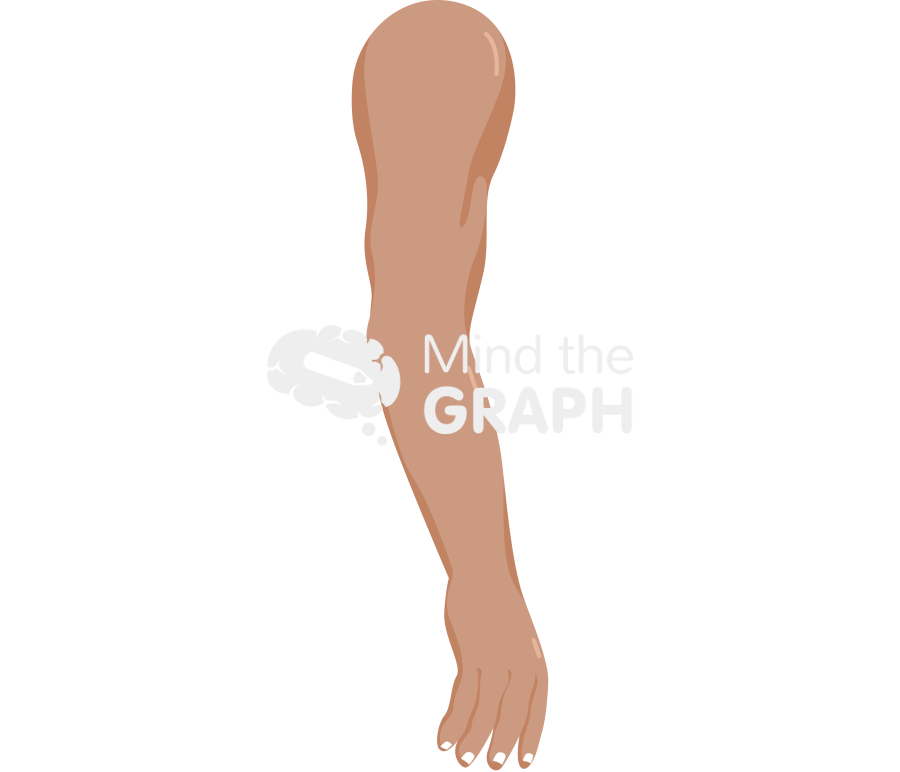 Arm anatomic side indian Icons, Symbols, Pictures, and Images