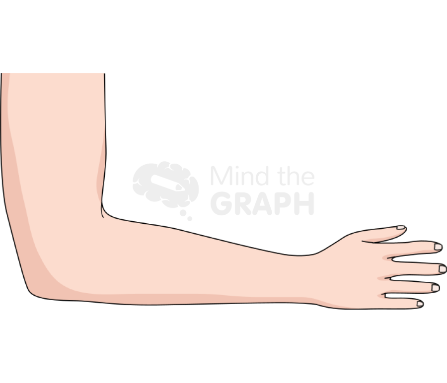 Arm body full Icons, Symbols, Pictures, and Images