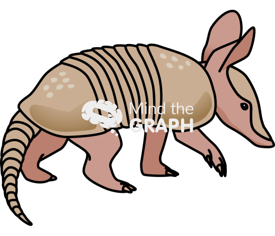 Armadillo pup 1 Icons, Symbols, Pictures, and Images