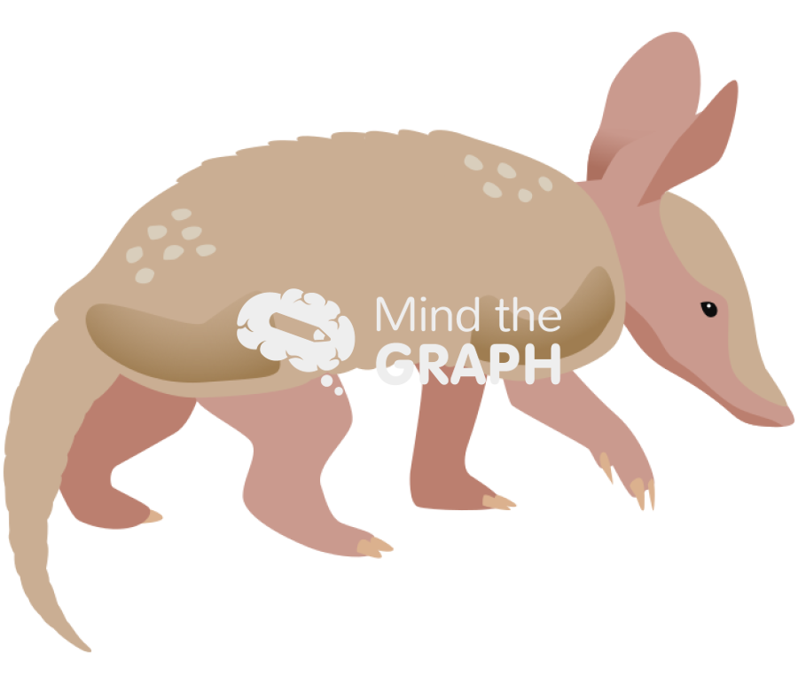 Armadillo pup 1 Icons, Symbols, Pictures, and Images