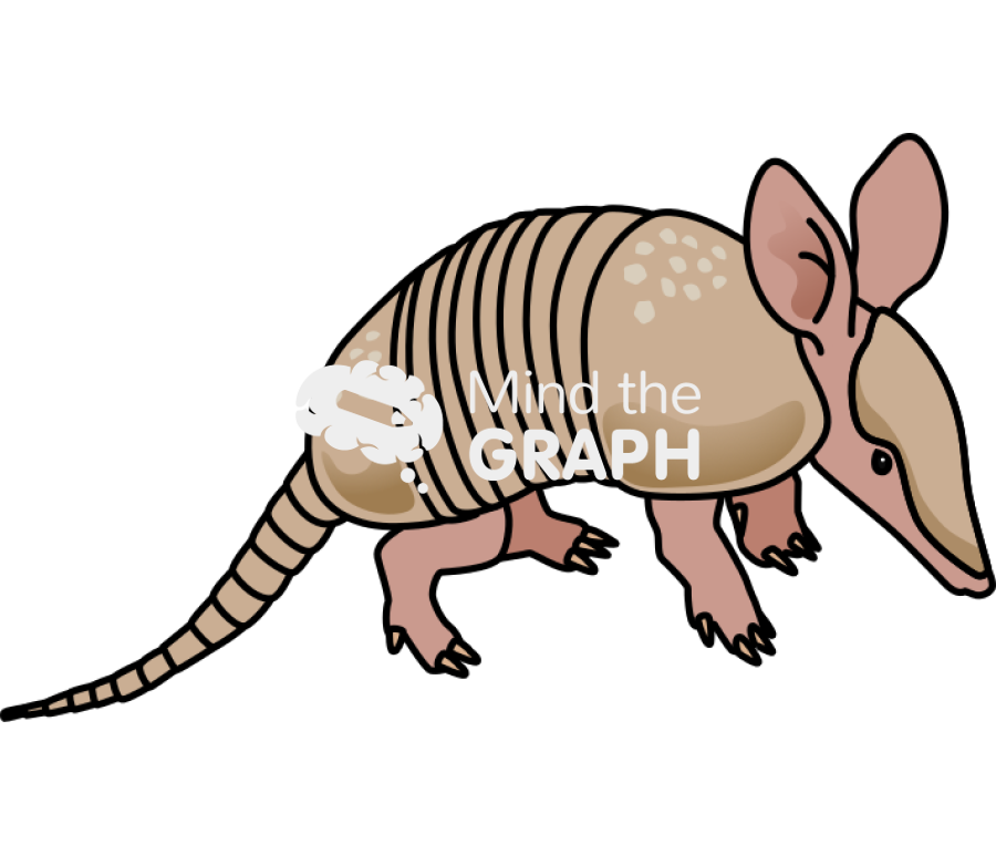 Armadillo pup 2 Icons, Symbols, Pictures, and Images