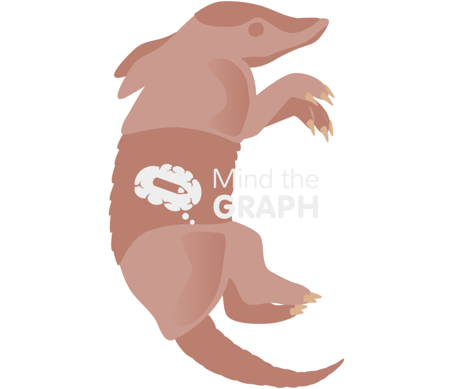 Armadillo pup lateral Icons, Symbols, Pictures, and Images